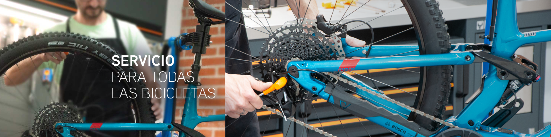Reparacion de bicicleta